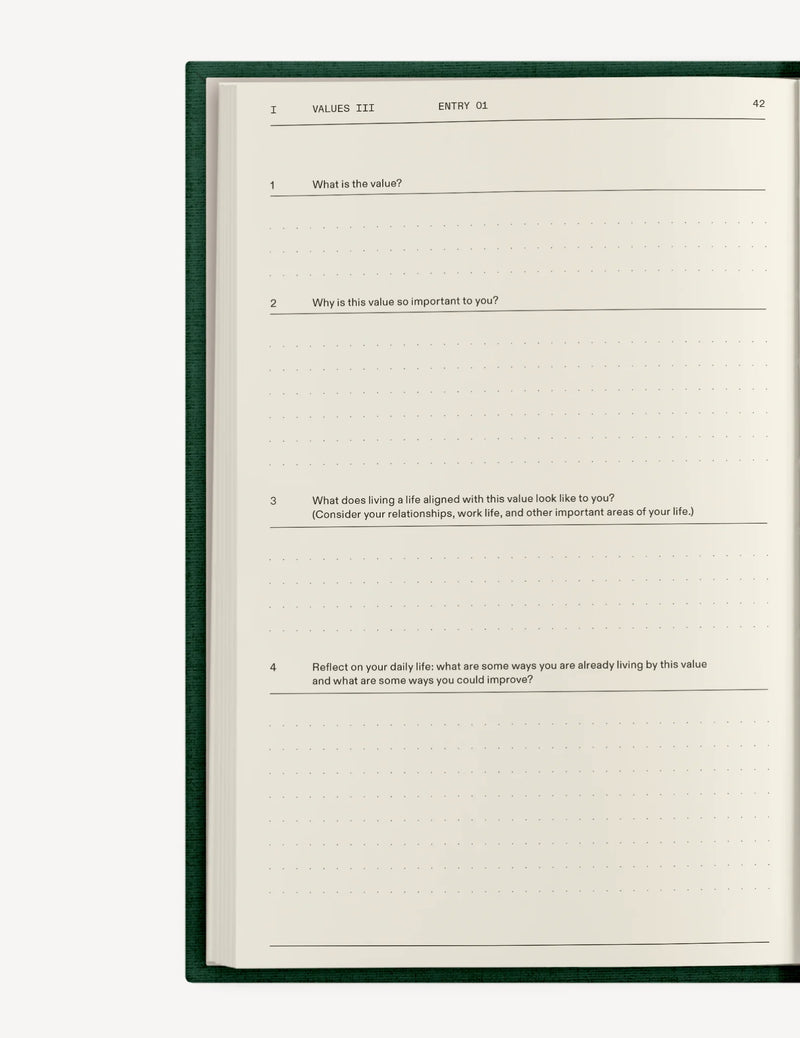 The Field Guide for Depression