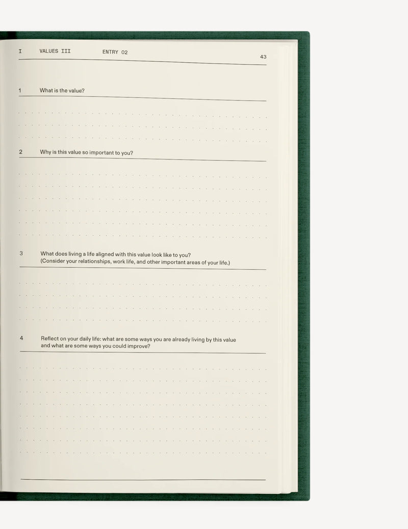 The Field Guide for Depression