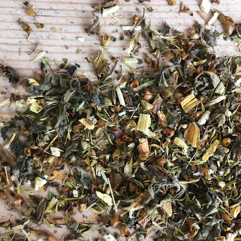 Immuni-tea Blend - Hackney Herbal Tea
